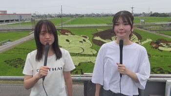 田んぼアート3.jpg