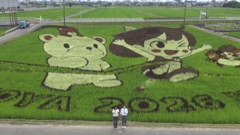 田んぼアート1.jpg